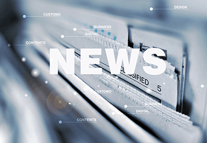 WZ系列電站測(cè)溫用熱電阻（引進(jìn)法國(guó)CMR公司制造技術(shù)）